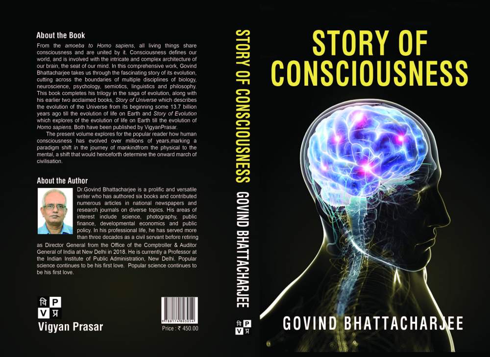 Story of Consciousness